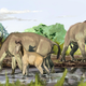 Imagen: Jorge Blanco/American Museum of Natural History